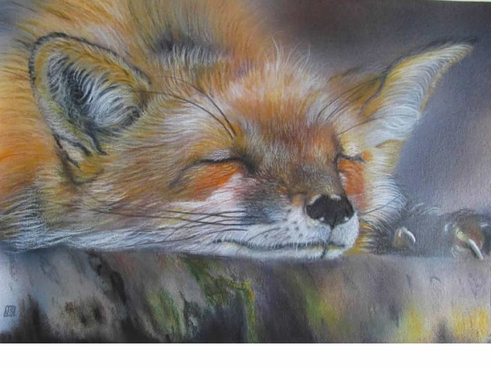 Sleepy Fox